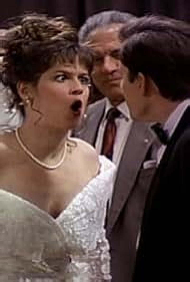 Lisa Picotte, David Kaufman's Wife