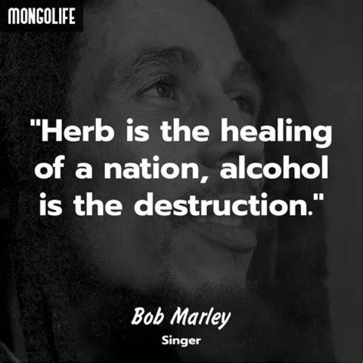 The 10 Best Weed Quotes by Famous Celebs